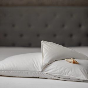 DaunenStep Cuscino Letto Botanicals cm. 50 x 80 Perla Cirmolo