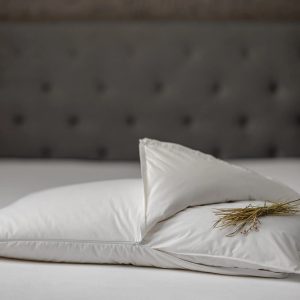 DaunenStep Cuscino Letto Botanicals cm. 50 x 80 Perla Fieno