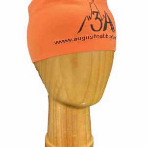 FASCIA TECNICA 3A aran.